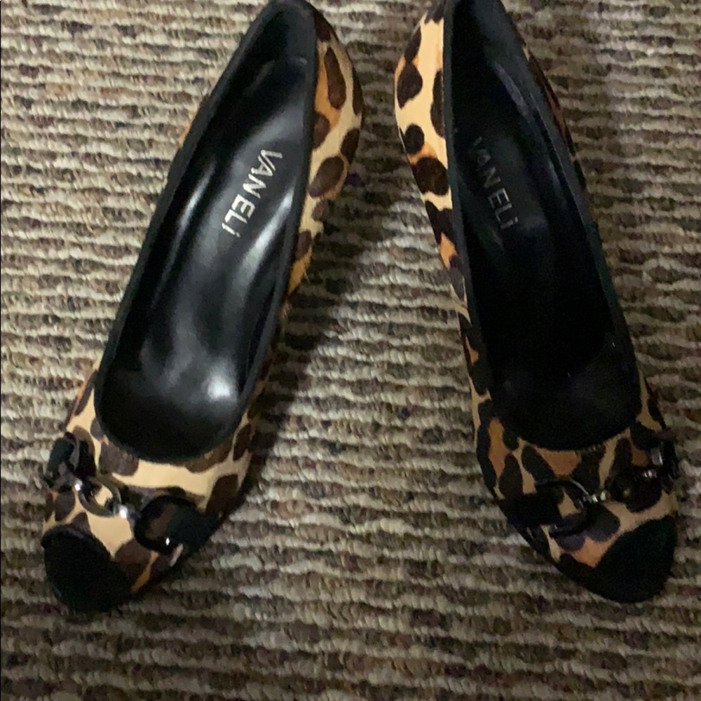 Vaneli Pump